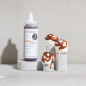 Preview: Haupt Lakrits Salmiakbomben - Salz-Karamellsauce, 12 x 315g-3