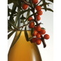 Preview: ND FUSION.008.Seaberry Glögg 15% vol. 700ml-2