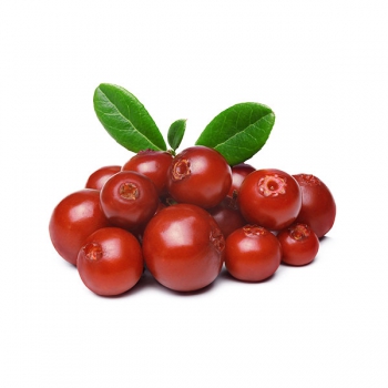 Blåtand Preiselbeer-Konfitüre, 20 x 210g - Beeren