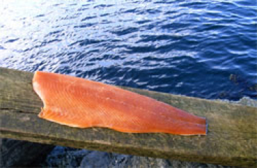 Kaltgeräucherter Lachs auf einer Holzplanke am Wasser