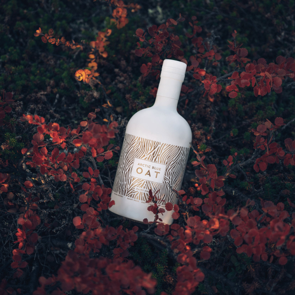 Arctic Blue Oat, 17% vol. 0,5 L 3