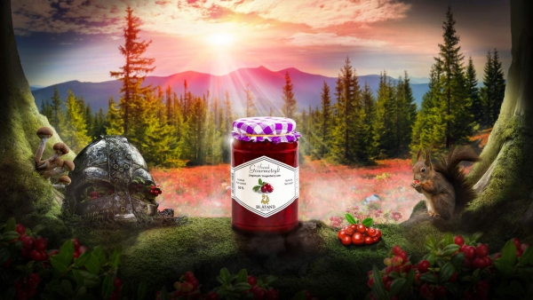Blåtand Preiselbeer-Konfitüre, 20 x 210g - Image