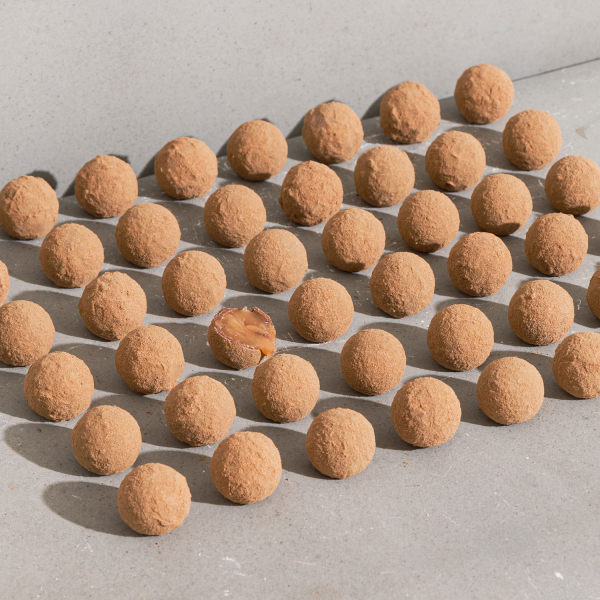 Haupt Lakrits Salmiakbomben 15 x 48g 8